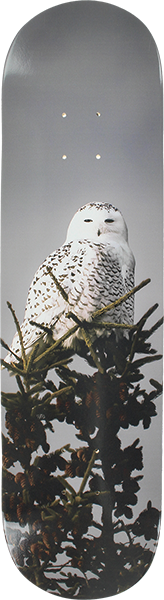 ALL I NEED TREMBLEY SNOW OWL SKATEBOARD DECK 8.1