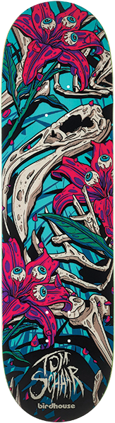 BIRDHOUSE SCHAAR TILLBROOK SKATEBOARD DECK-8.38