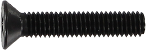 STANDARD PHILLIPS BOLT 1" BLACK