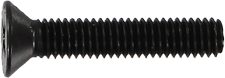 STANDARD PHILLIPS BOLT 1" BLACK