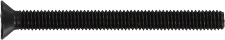 STANDARD PHILLIPS BOLT 2" BLACK