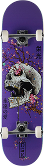 DGK ANCESTRY SKATEBOARD COMPLETE 8.0 PURPLE