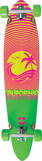 DUSTERS CALIFORNIA DREAMING SKATEBOARD COMPLETE 9x40 NEON GRN