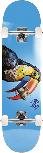PUSH TOUCAN FP SKATEBOARD COMPLETE-8.0 BLU