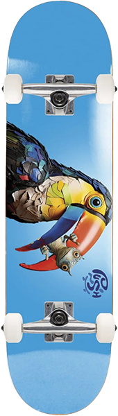PUSH TOUCAN FP SKATEBOARD COMPLETE-8.0 BLU