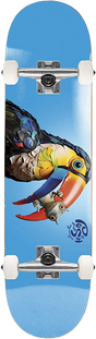 PUSH TOUCAN FP SKATEBOARD COMPLETE-8.0 BLU