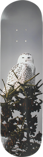 ALL I NEED TREMBLEY SNOW OWL SKATEBOARD DECK 8.1