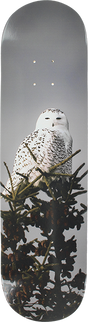 ALL I NEED TREMBLEY SNOW OWL SKATEBOARD DECK 8.1