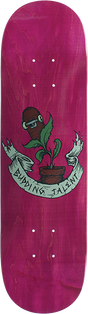 BACON BUDDING TALENT MIN SKATEBOARD DECK-7.3