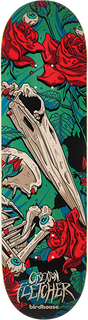 BIRDHOUSE FLETCHER TILLBROOK SKATEBOARD DECK-8.5