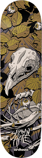 BIRDHOUSE HALE TILLBROOK SKATEBOARD DECK-9.0