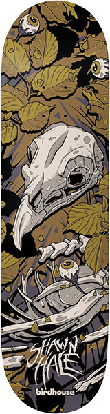 BIRDHOUSE HALE TILLBROOK SKATEBOARD DECK-9.0