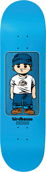 BIRDHOUSE SCHAAR TOYBOX SKATEBOARD DECK-8.38