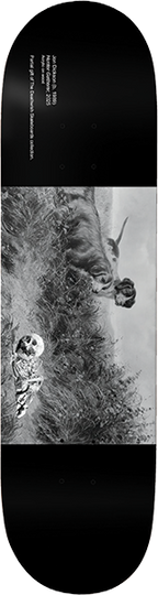 DEATHWISH DICKSON MUSEUM SKATEBOARD DECK-8.5