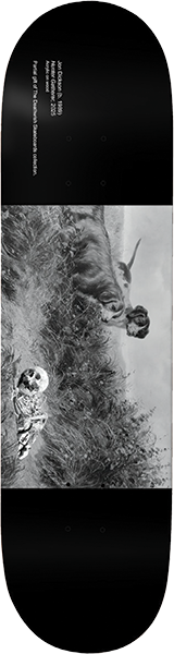 DEATHWISH DICKSON MUSEUM SKATEBOARD DECK-8.5