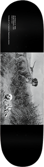 DEATHWISH DICKSON MUSEUM SKATEBOARD DECK-8.5
