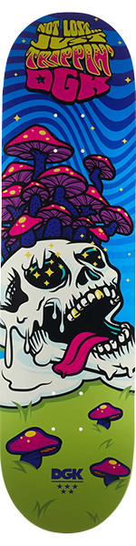 DGK NOT LOST SKATEBOARD DECK-8.25