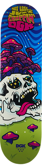 DGK NOT LOST SKATEBOARD DECK-8.25