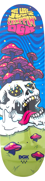DGK NOT LOST SKATEBOARD DECK-8.5