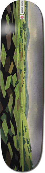 ELEMENT LANDSCAPE EUROPE SKATEBOARD DECK-8.5 w/ grip