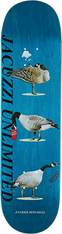 JACUZZI MITCHELL GEESE SKATEBOARD DECK 8.25 TEAL EX7