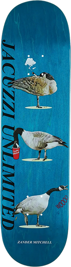 JACUZZI MITCHELL GEESE SKATEBOARD DECK 8.5 TEAL EX7