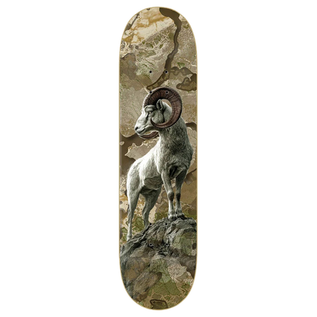 ZERO ARUNSKI REALTREE BIGHORN SKATEBOARD DECK-8.5 CAMO