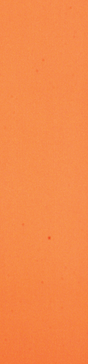 JESSUP PIMP GRIP SINGLE SKATE GRIP SHEET-AGENT ORANGE