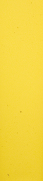 JESSUP PIMP GRIP SINGLE SHEET-SANTA CRUZHOOL BUS YELLOW