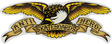 Anti Hero EAGLE SM STICKER single