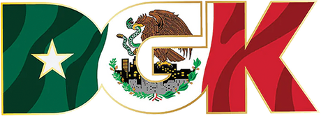DGK BANDERA STICKER SINGLE