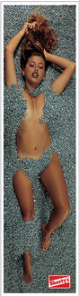 SHORTYS ROSA 1x4"  STICKER (2 pack)