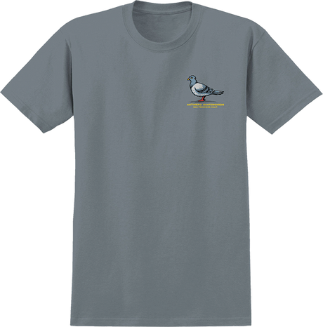 ANTI HERO TEAM PIGEON SS TSHIRT XLARGE-GRANITE