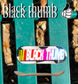 BlackThumb Nascar Fingerboard Deck Black 32mm Medium