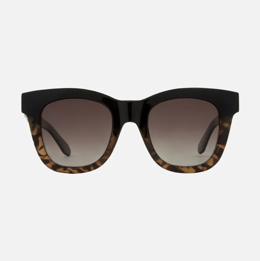 Carve Elba Polarized Sunglasses Black Tort Fade Grey