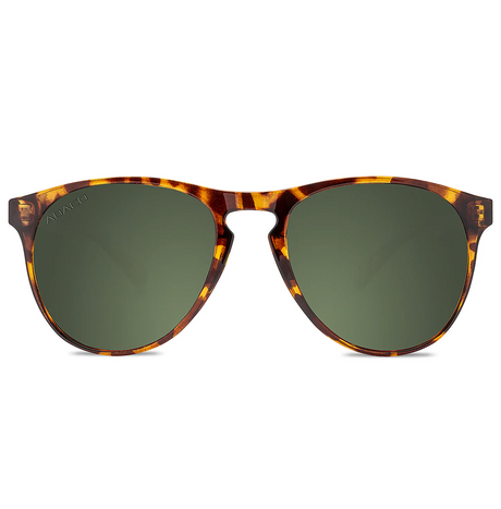 Abaco Logan Polarized Sunglasses Tortoise G15