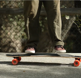 Loaded Tan Tien Flex 1 Skateboard Complete Brown 8.75x39"