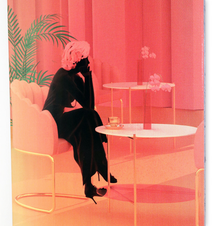 Cafe Unexpected Beauty Skateboard Deck Pink 8.125x14WB