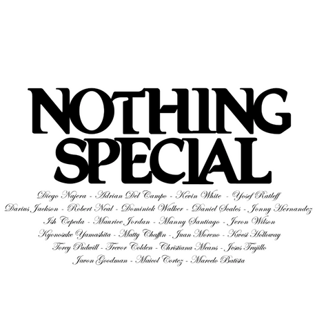 Nothing Special Pro Bearings Robert Neal Dark Blue