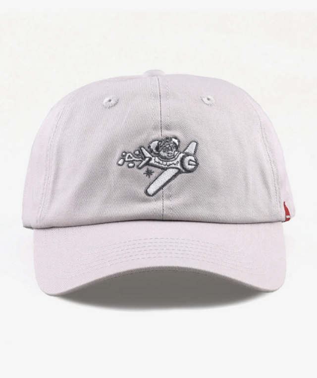 Follow Moment Cap Light Grey Snapback