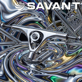 Paris Savant Trucks Set Silver 180/50