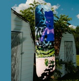 Quasi Wilson Needmore Skateboard Deck Purple Assorted 8x14.25WB