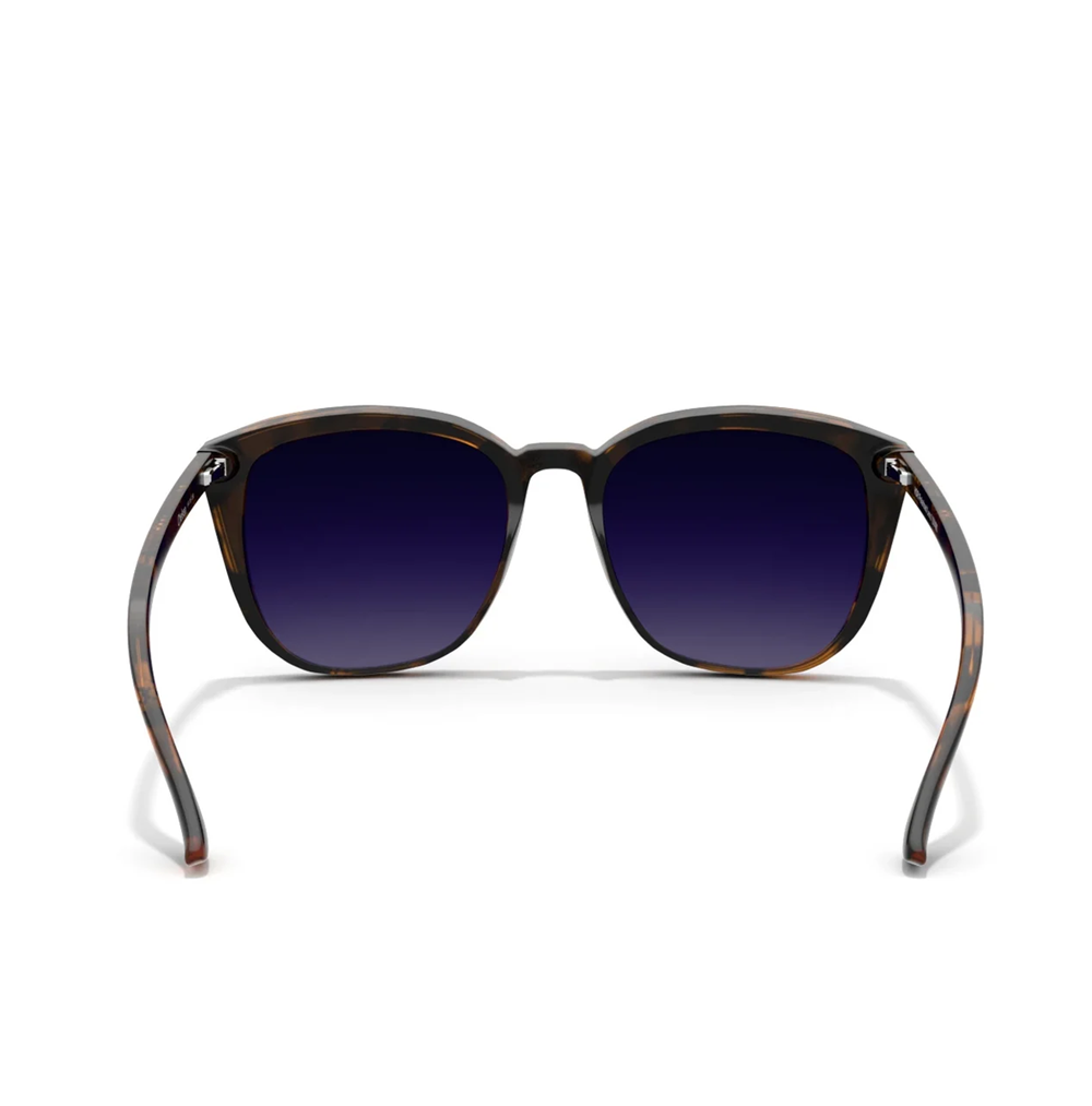 Abaco Chelsea Polarized Tortoise Blue Gradiant