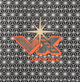 Santa Cruz Winkowski Samurai VX Skateboard Deck Silver 10.35x15WB