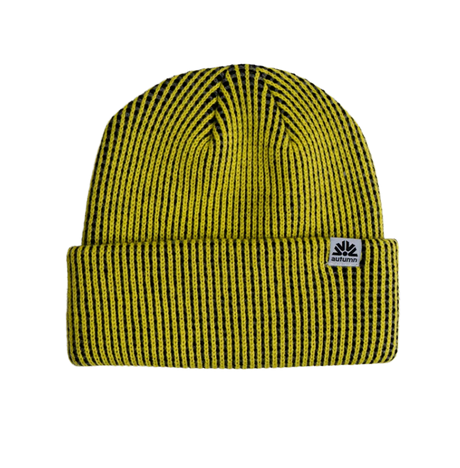 Autumn Static Beanie Lemonade