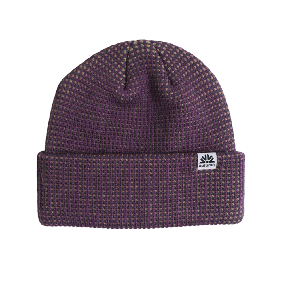Autumn Static Beanie Plum