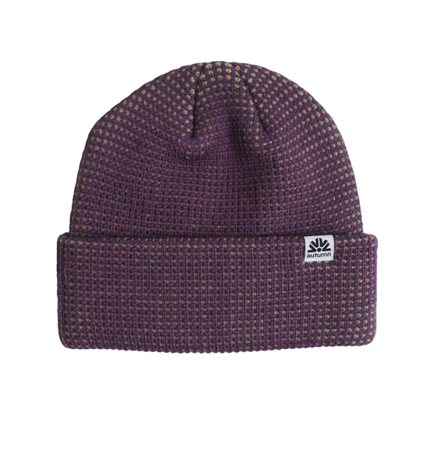 Autumn Static Beanie Plum