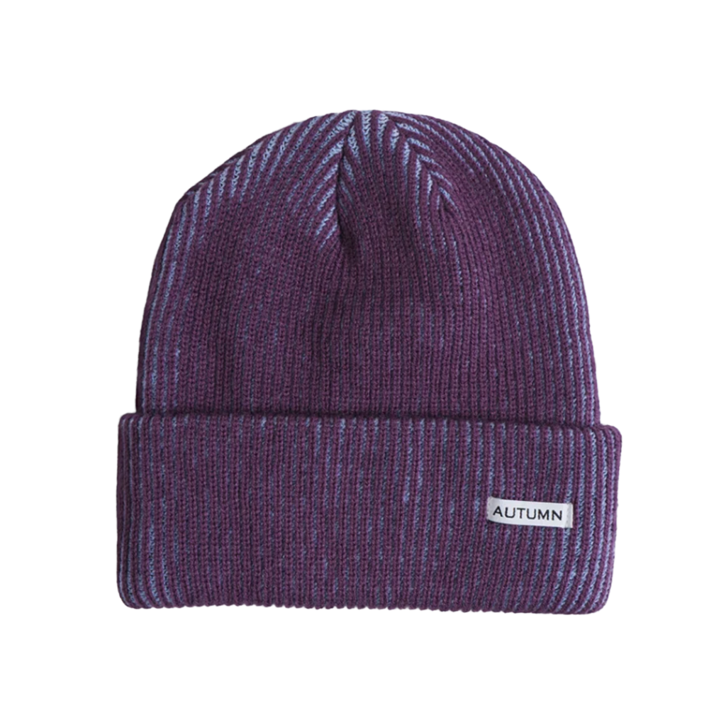 Autumn Cord Beanie Plum