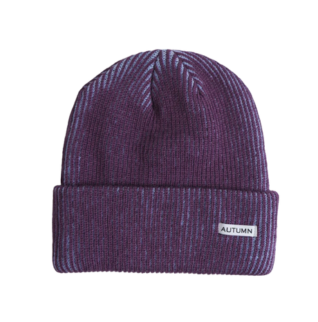 Autumn Cord Beanie Plum