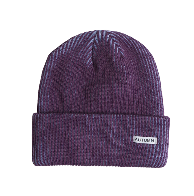 Autumn Cord Beanie Plum
